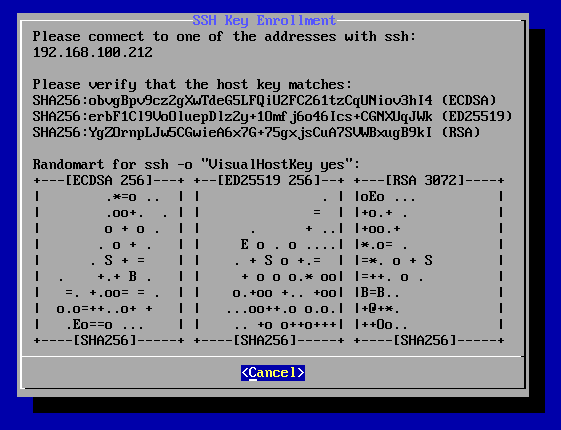 ssh-pairing showing connection info
